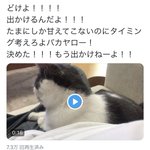 サンシャイン池崎の超裏垢は悪口と盗撮だらけだけど好感度爆上がりw