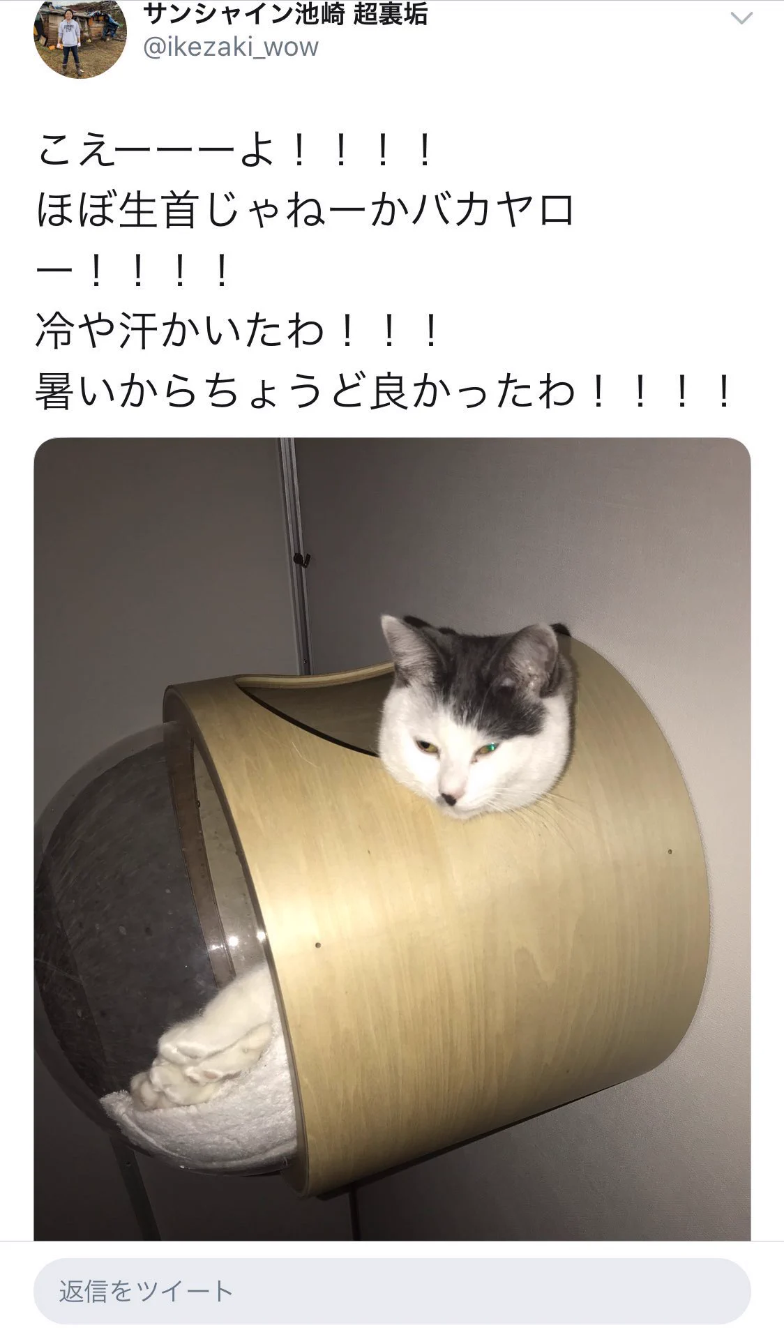 サンシャイン池崎の超裏垢は悪口と盗撮だらけだけど好感度爆上がりww