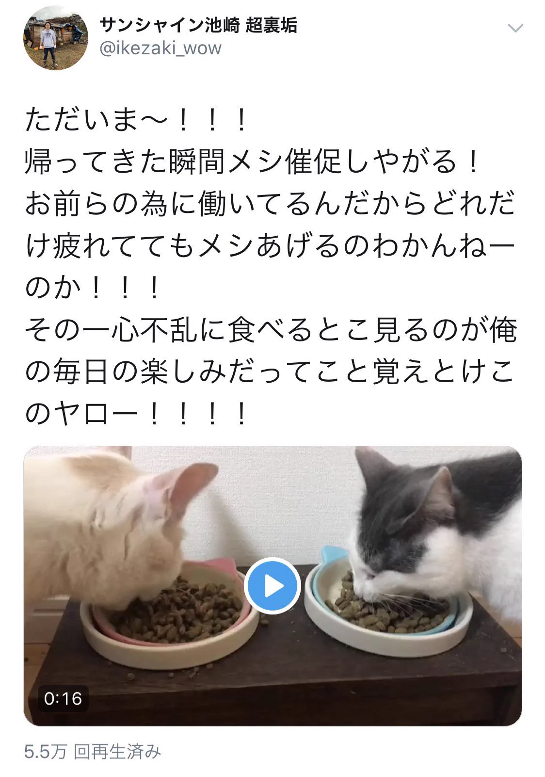 サンシャイン池崎の超裏垢は悪口と盗撮だらけだけど好感度爆上がりww