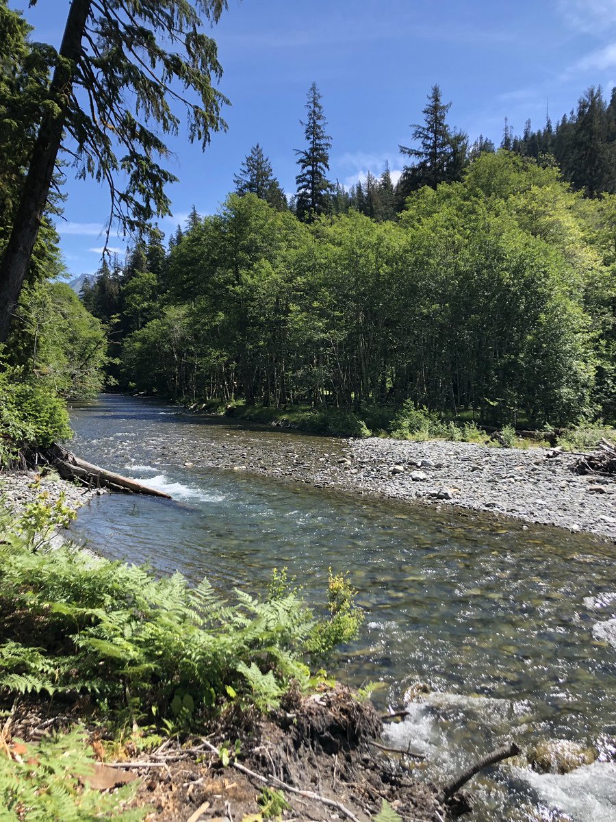 Duge_H's tweet photo. Latest adventure into the Enchanted Valley. https://t.co/4PtaxWLsXa