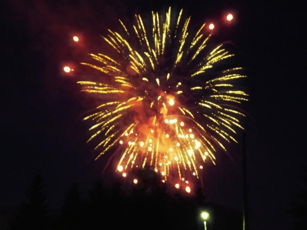 Ghoul_Countess's tweet photo. The best of tonight's fireworks were the ones above the trees. https://t.co/uCL9E2Jvnz