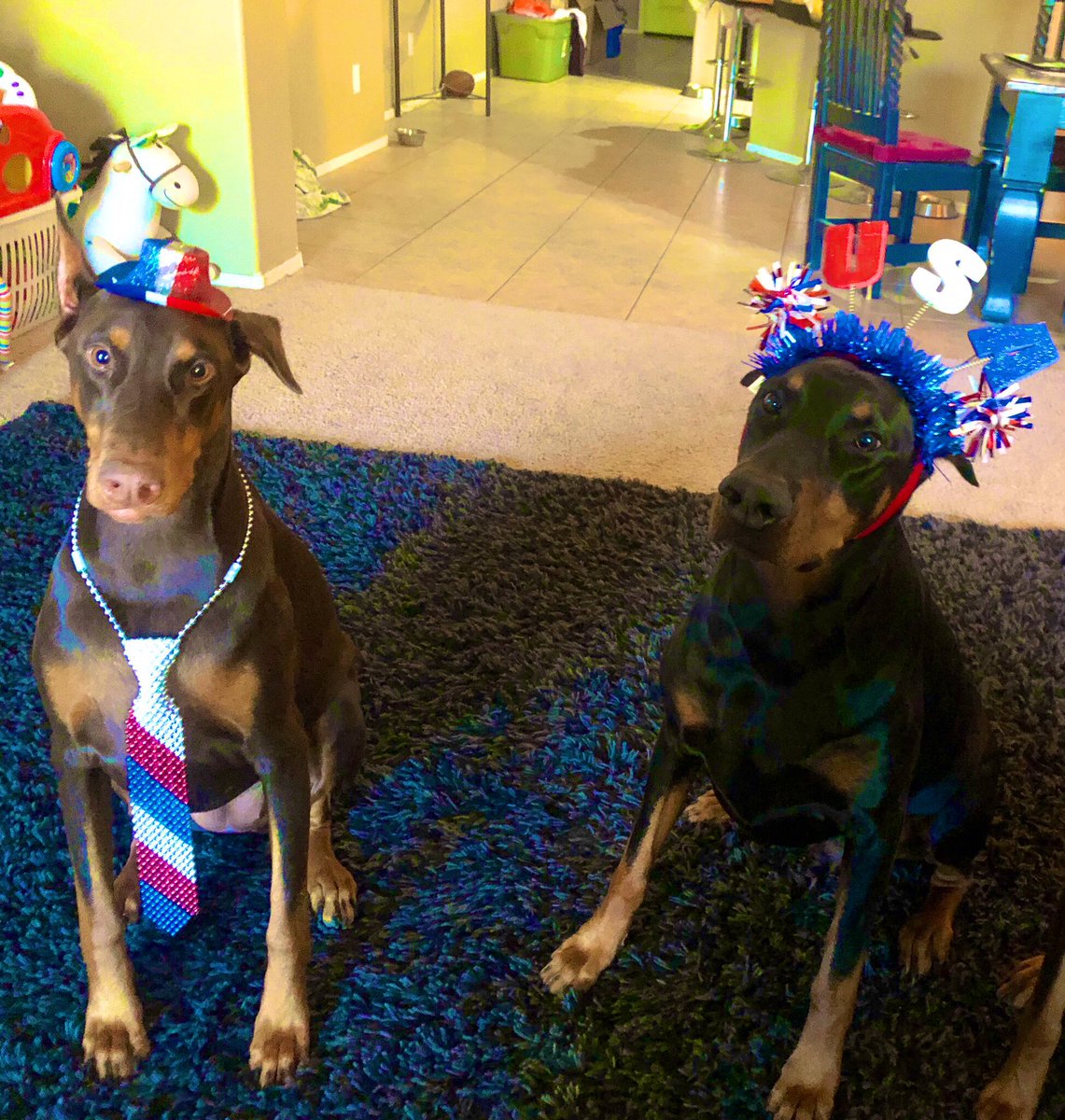 ChristServant17's tweet image. Happy 4th of July from our crew!!

Gunny wasn’t too excited that Izzy got to wear the hat &amp;amp; tie this yr (see how proud she is). But he handled it like a gentleman...plus she’s DEFINITELY the Alpha so it totally makes sense 💁🏻‍♀️💜 

#patrioticpups #4thJuly2019 #Doberman