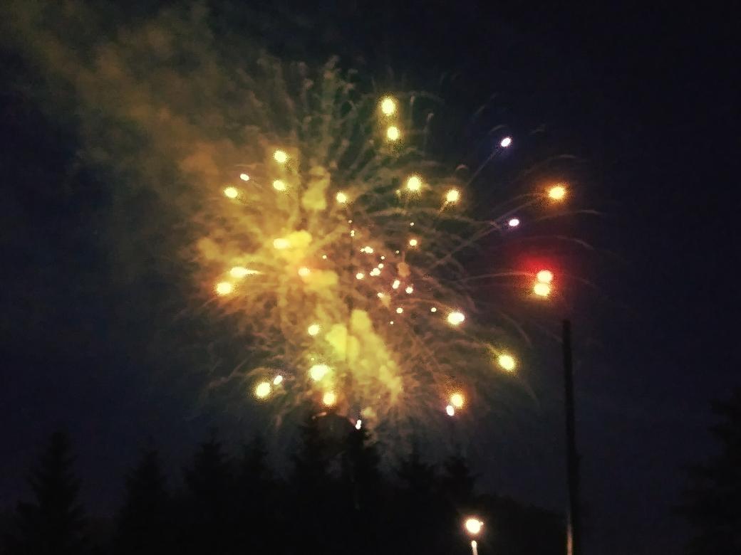 Ghoul_Countess's tweet photo. The best of tonight's fireworks were the ones above the trees. https://t.co/uCL9E2Jvnz