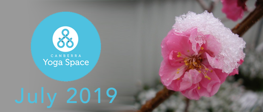 CanbYogaSpace's tweet photo. July 2019 Newsletter - https://t.co/bYwNYIsiIh https://t.co/qwSElDpjQd