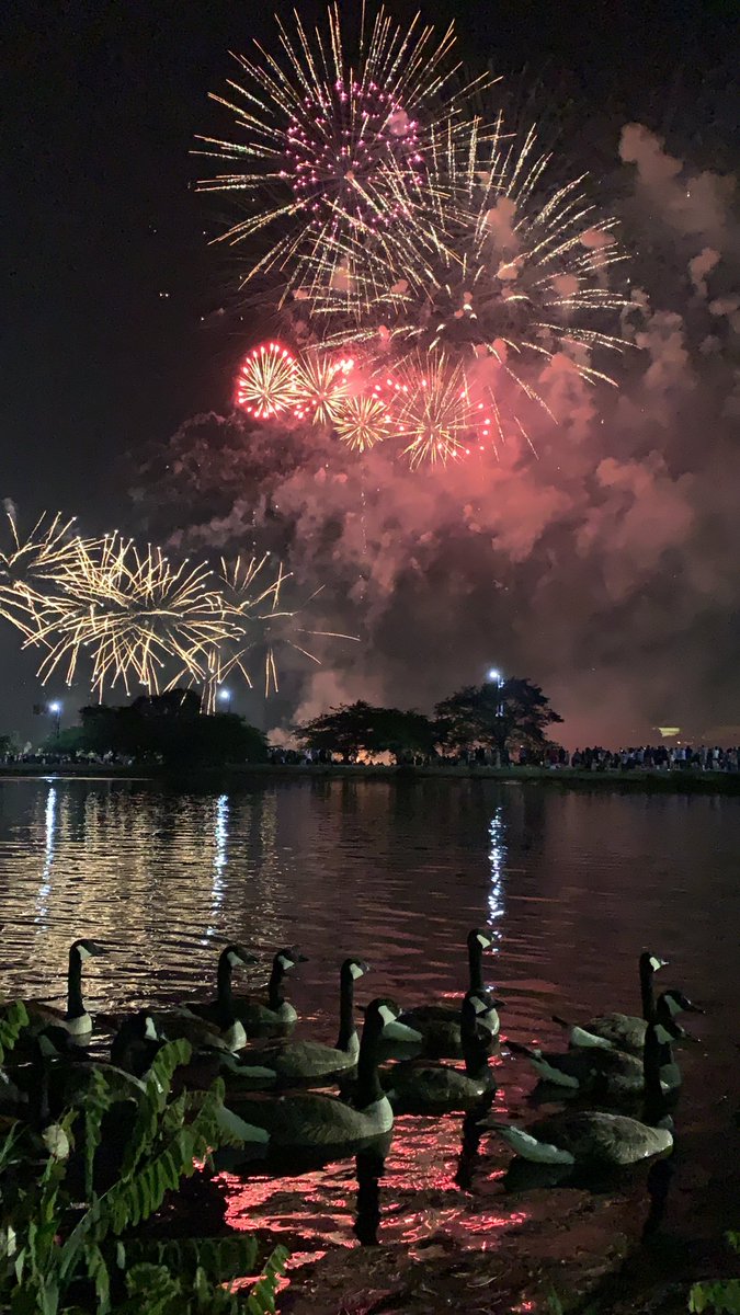 RetroscopeApp's tweet photo. When you thought you had the front row seat
#bostongeese #canadiangeese #4thofjuly2019 #BostonPops #BostonJuly4 https://t.co/daoaYaOxzB