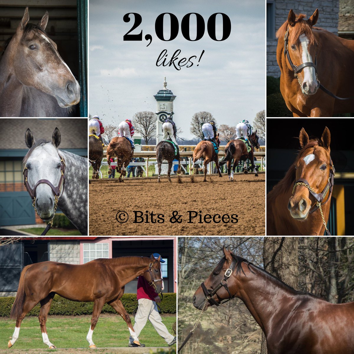 _bits_pieces_'s tweet image. Sending out a huge thank you to all of our fans for helping us reach 2,000 likes on Facebook! This is a huge milestone for our page, and we couldn't have made it here without your support! #TwoThousand