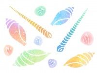 Uzivatel 素材ラボ Na Twitteru 新作イラスト 貝殻の水彩素材セット