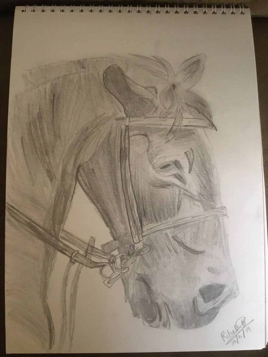 Real_Ritvik's tweet image. Hi, I made this drawing. Comment how is it please.😀😁
@mashanazeem1 @gemsnms_alkhail 
#8WeekStreak