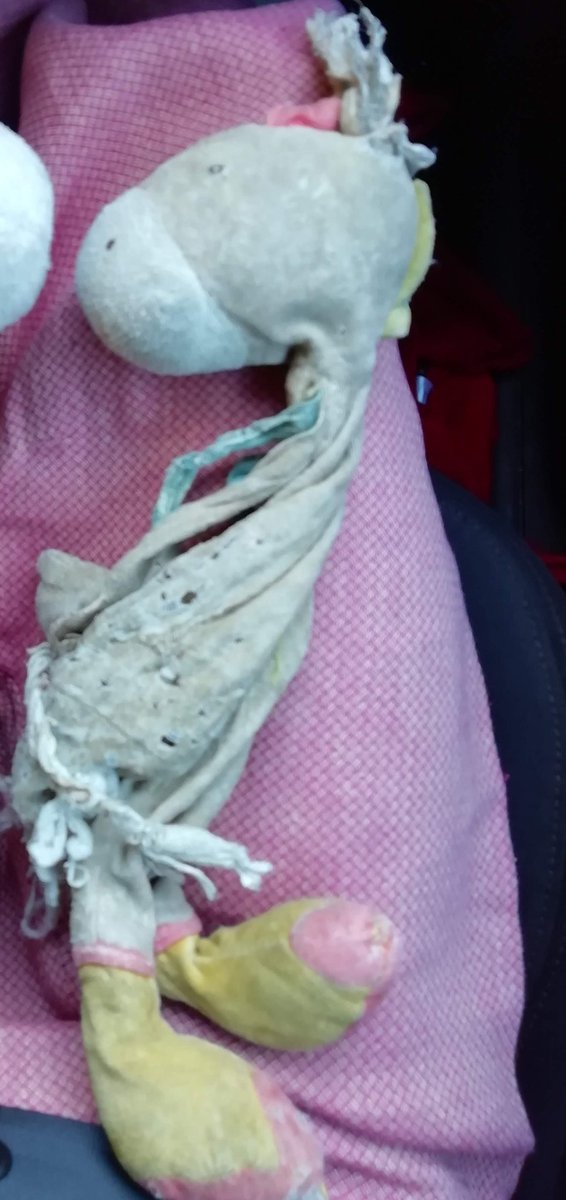 chiaralessi's tweet image. Mi imbarazza infilare qui dentro cose private e chiamarle urgenze ma qualcuno potrà capire e magari aiutare.
Ettore ha smarrito Ciccio, è un asino di pezza.
Gli è caduto a Bologna sul regionale delle 10:32 verso Riccione.
Non buttatelo per favore.
Se fate il miracolo scrivetemi.