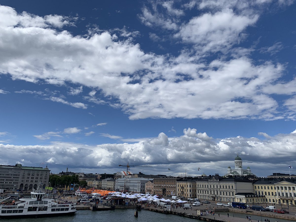 Lauren Scofield tweet media