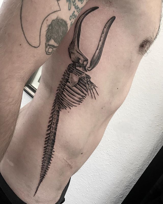 Pin by Jules on tattoo  Whale tattoos Skeleton tattoos Body art tattoos