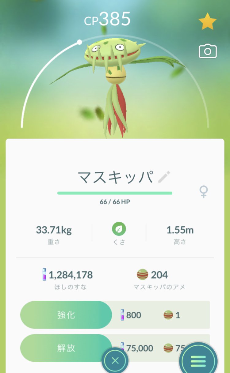 めろ 第2回ポケモンgo調査隊 1 55m雌のポケモン 珍しい子がいました マスキッパです ポケモンgo調査隊 T Co Hym2ijpx4s Twitter