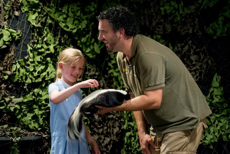 TBB_YorkandHumb's tweet photo. The Big Bang Yorkshire and Humber highlights.  

Tropical Encounters show from Dinosaur Wildlife and Education Center and the chance for the audience to meet live animals.

#TBBYH2019 #TBBYH2019highlights #tropicalencounters #meetasnake #meetaskunk @DWAEC_ltd https://t.co/z6Fr8I6qym