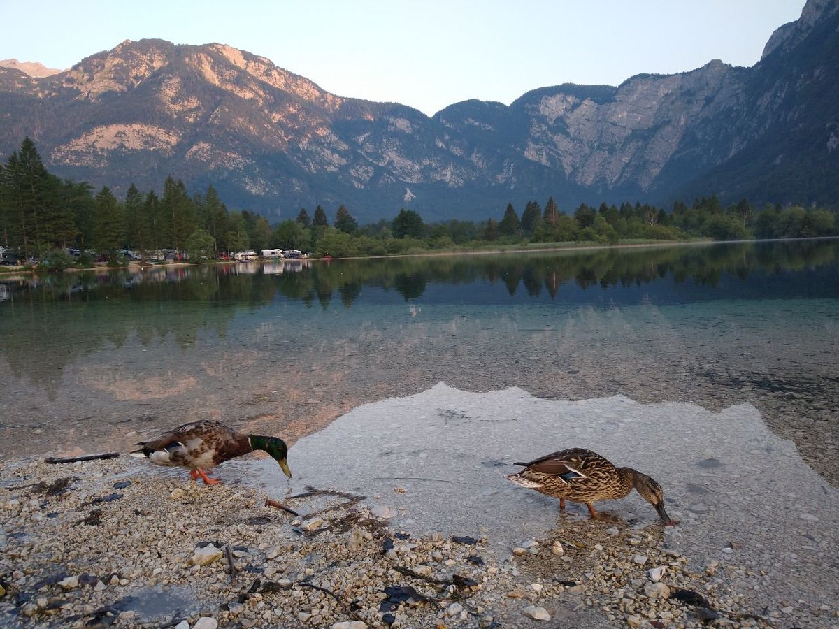 arnputz's tweet image. #slovenia #devbreak