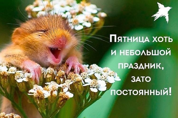 Психи, открытки скоро выходные