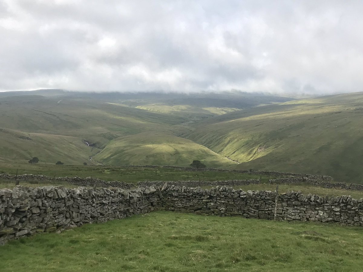 Day 5 and the final day of #LetsLearnMoor19 and we have two events running in Cumbria and Northumberland coordinated by <a href="/TheNPenninesMG/">TheNPMG</a> supported by local farmers and the @NorthPennAONB
