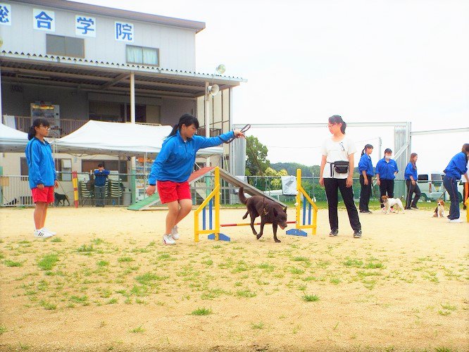 公式 関空ペット総合学院 Kanku Pet Twitter 公式 関空ペット総合学院 Kanku Pet Twitter