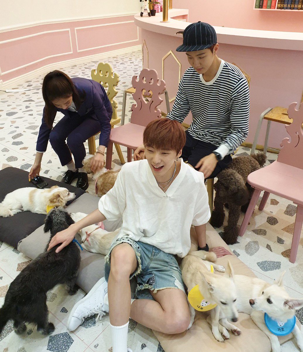 doghotelsdotcom's tweet photo. 댕댕덕후 승승이들과 함께한
#그랜드부다개스트 6회💓
토르아빠 신나보이는건 기분탓인가요🤔

💫#그부개 6회 방송💫
✔️7/8 (월) jtbc2 저녁 8:00

💫🐶댕스타그램(공식 인스타)💫
👉 https://t.co/EQXSpSPmsE

#안정환 #토니안 #유재환 #공원소녀 #레나 #사지말고입양하세요 #위너 #강승윤 #이승훈 https://t.co/ak3MDaFW3s