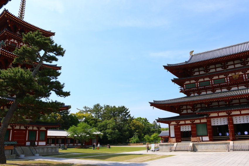 JapanHoppers's tweet photo. Located in Nishinokyo-cho of Nara, Yakushi-ji Temple is the head temple of the Hossoshu sect.  It is one of seven temples located around Heijyokyo during the Nara period (710-794) which had protection of the court. 

https://t.co/QJbvfJq238 https://t.co/tLVwkFHVMa