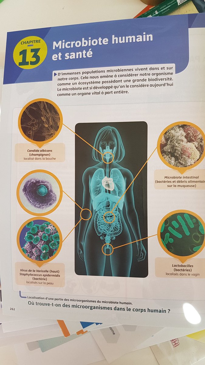 Julien Tap tweet media