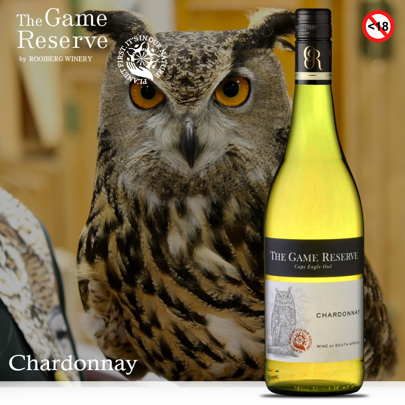 RooibergWines's tweet photo. Help us in supporting the conservation of the large &amp; powerful Cape Eagle Owl when you purchase Chardonnay from the Game Reserve Range, brought to you by @RooibergWines
#wineswithacause #rooibergwines #itsinournature @WildernessFdnSA 
https://t.co/22YwyVGbK1 https://t.co/kuLIt8KOft