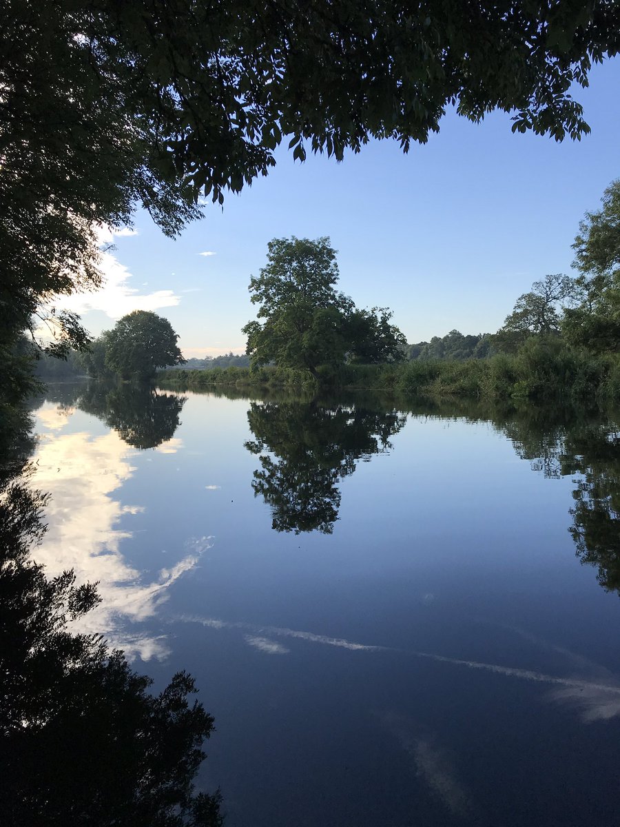 Early morning river walk #happy Friday  #Wimborne #Dorset #riverlife #stillwaters