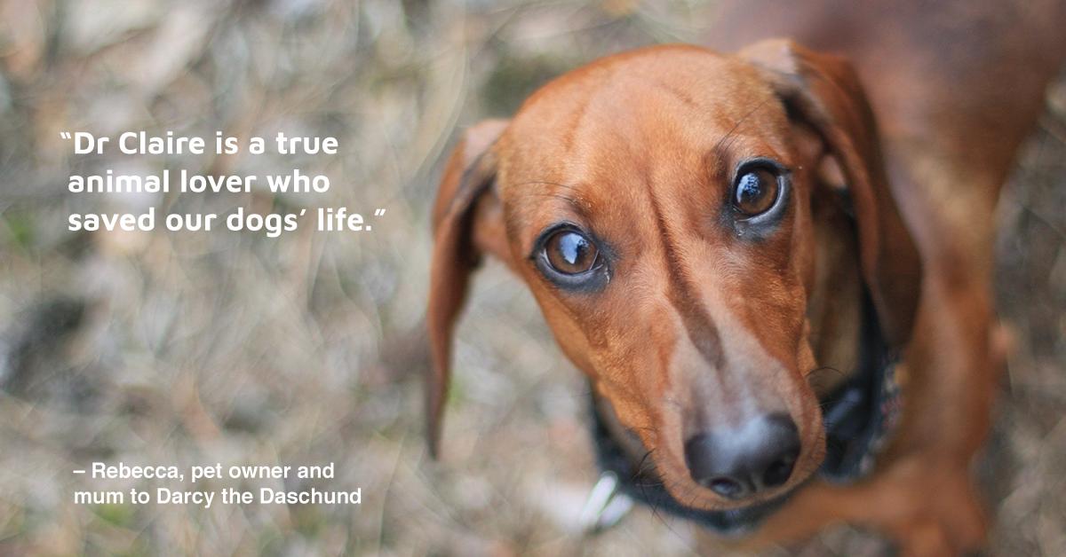 With a sick pup going into shock and no vet on the island, “Vetchat went above and beyond to help us by correspondence.”

Connect with our vets in minutes like Bec did.