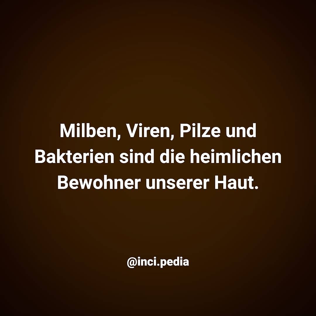 incipedia_de's tweet photo. Guten Morgen! Denkt dran: manchmal schaut das Hinterteil einer Milbe ausm Follikelausgang raus ๐ #incipedia #knowyourskin #skinfo https://t.co/YKHcg7AEYy