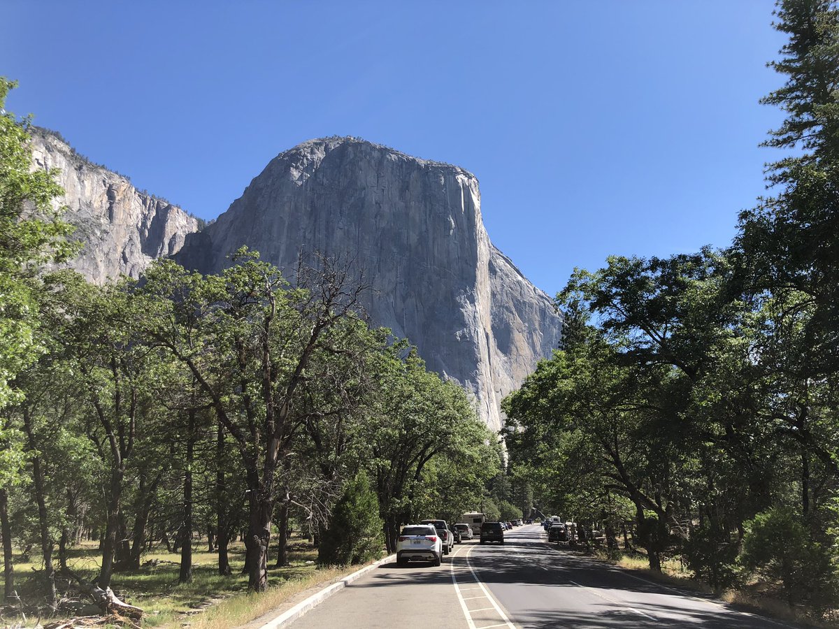 RoelVanBeeumen's tweet photo. Nice to be back @YosemiteNPS and thank you 🐻🐻 for crossing the trail! #hike #bearsonthetrail #wildlife https://t.co/tngGImHlEZ