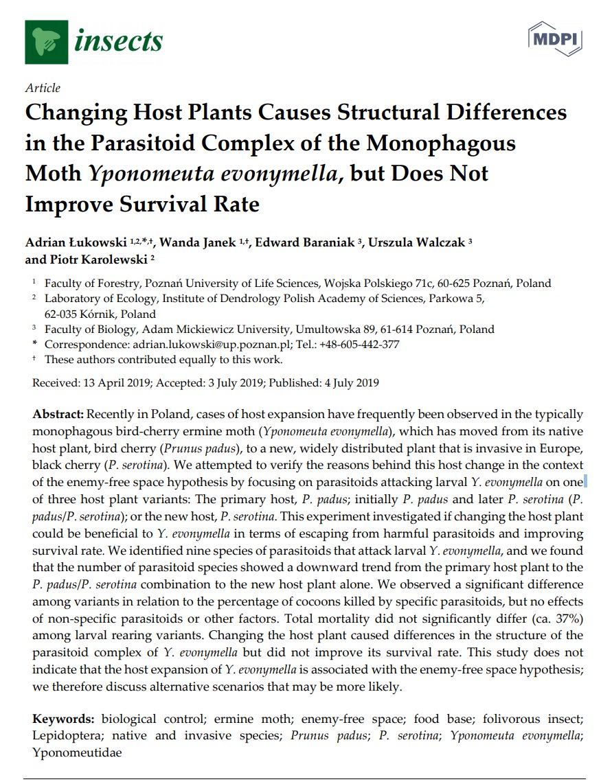 Adrian_Lukowski's tweet photo. New paper 📰from @Forestry_Poznan. This study does not indicate that the host expansion of #Yponomeuta evonymella is associated with the #enemy_free space hypothesis.
https://t.co/LsjmOfB3oE
@Insects_MDPI https://t.co/ZbI4zv8Coe
