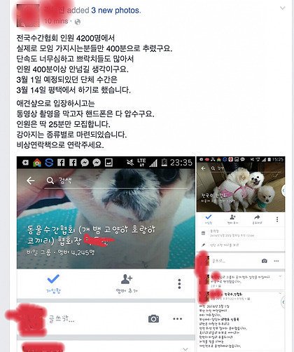 korean bestiality Bestiality Sex Taboo
