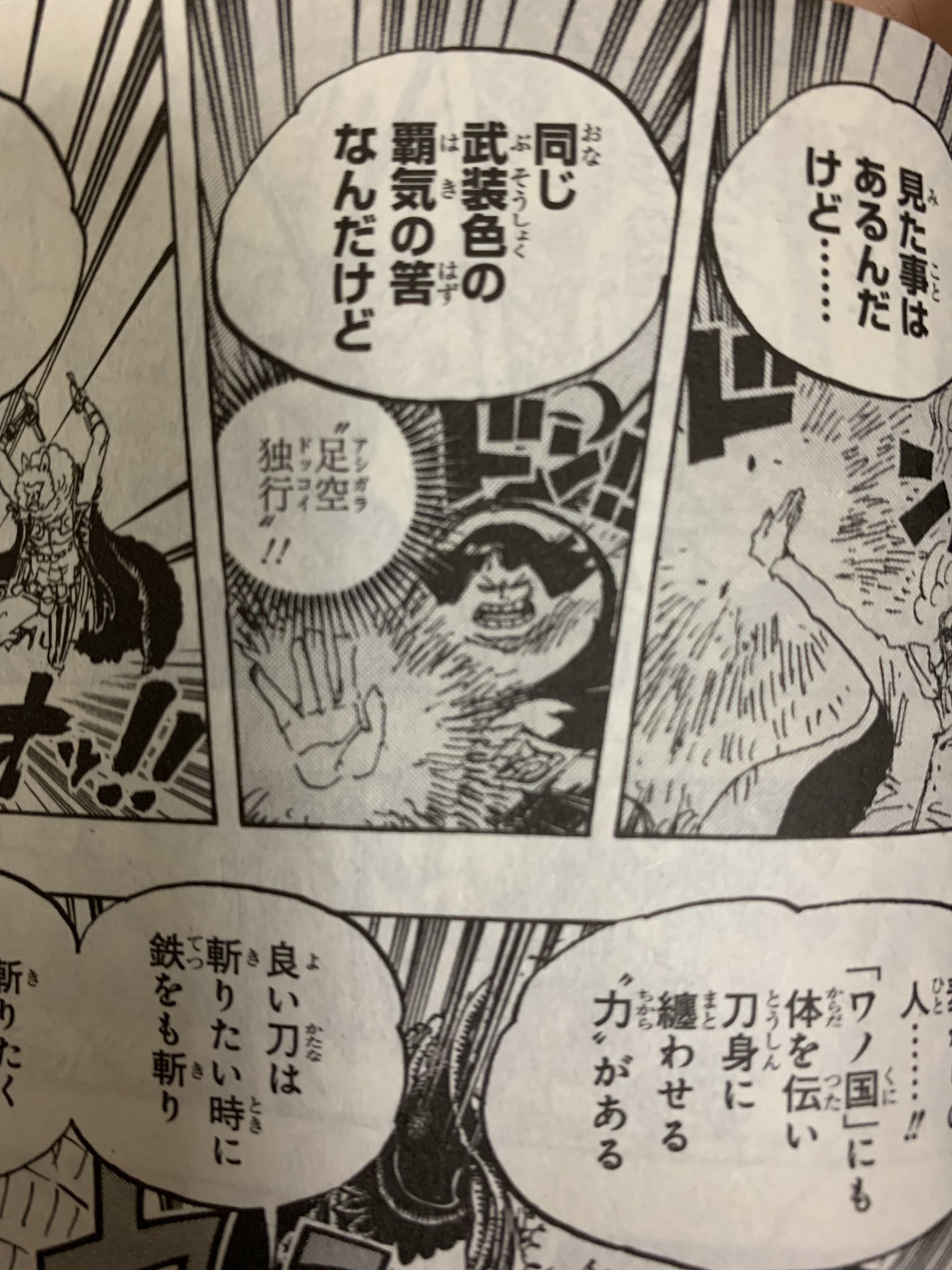 Hawk One Piece 93巻と52巻より 戦桃丸 は元々海軍に所属するまでdr ベガパンクのボディガードだったらしいです 彼は足空独行と言う技ではありますが 武装色の強化版 流桜 を会得しています やはり海賊に劣らず 政府も実力者揃いですね ワンピース