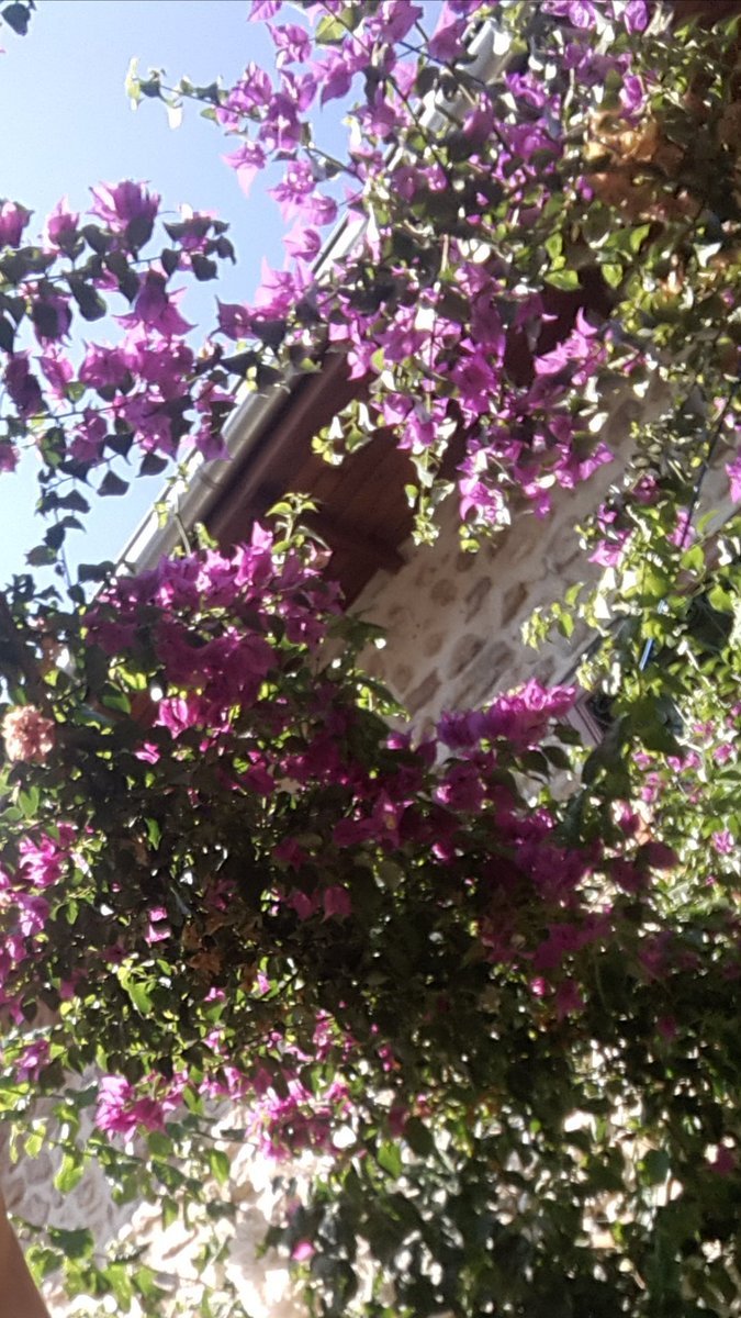 Derdimi ummana döktüm asumana inledim
Yare de ağyare de hal-i
Derunum söyledim
Aşina yok derdime ben
Söyledim ben dinledim...
#HayırlıCumalar