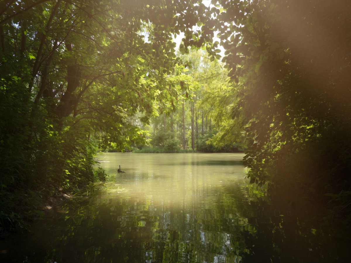 trickyshutter's tweet image. Water nymphs playground,  Dreamlands series I
I was waiting for naiads, daughters of Okeanos to show up, but I was probably too noisy, too impatient or just not yet worthy to see them. But one day, one day I will be ready...
#naturephotography #photography #pictureoftheday