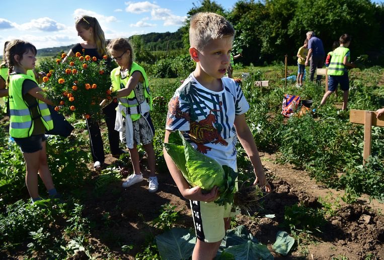 Winfried van Zeeland tweet media