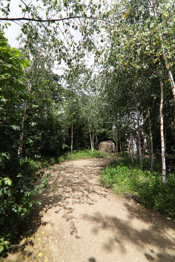 MBrandon_GD's tweet photo. You have til9am this morning to vote for your favourite show garden. #theForestWillSeeYouNow in the Global Impact category. If you love it please vote. Reconnecting with nature for mental health and wellbeing 💚🌳 
https://t.co/gwpr0IUOcS https://t.co/i7tfB47bKD