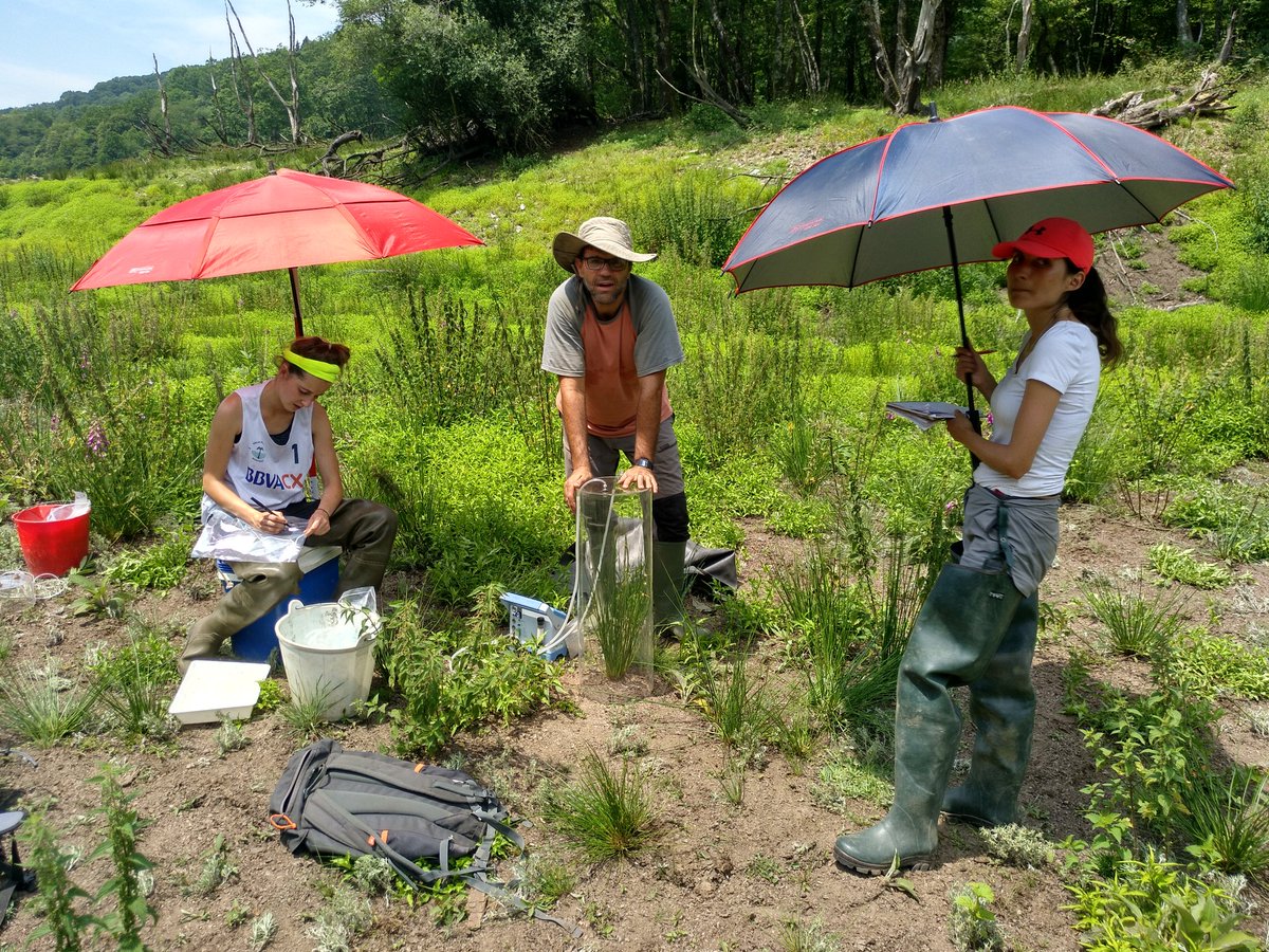 Daniel von Schiller (@dvonschiller) on Twitter photo <a href="/EhuStream/">EhuStream</a> and @BielObrador teams sampling dry reservoir at #Artikutza for <a href="/FundacionBBVA/">Fundación BBVA</a> Desembalse and <a href="/CarbHydrochange/">Project C-HydroChange</a> projects. Well done! <a href="/EhuStream/">EhuStream</a> and @BielObrador teams sampling dry reservoir at #Artikutza for <a href="/FundacionBBVA/">Fundación BBVA</a> Desembalse and <a href="/CarbHydrochange/">Project C-HydroChange</a> projects. Well done!