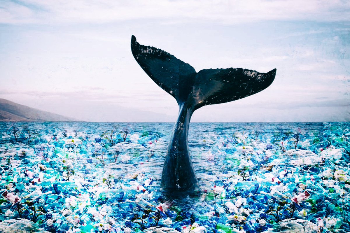 XavMars's tweet photo. I’m so pleased that Oceana decided to use my artwork for all their New-York Gala 2019 comms!
#art #artwork #charity #plasticfree #savetheocean #eco #ecoart #artistsontwitter https://t.co/KGM0xFbgTO