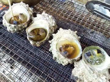 日本三大朝市の1つ 呼子朝市 で絶品海鮮グルメを堪能 食べ歩き旅へ 旅行 お出かけの情報メディア