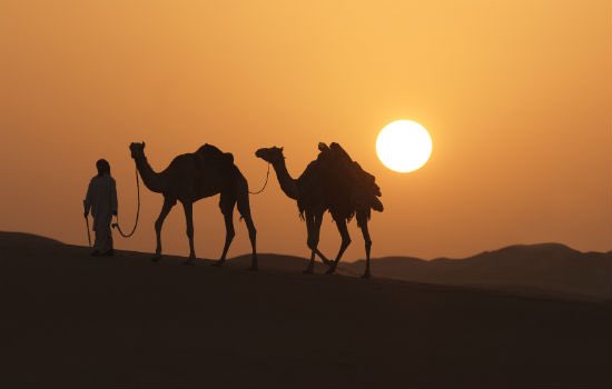 Alghfeli2's tweet image. حـــنا الــــنشامة وتشــــهد لنا التعاليل
علي الخــوة تربينا وعلى حب ومودة !