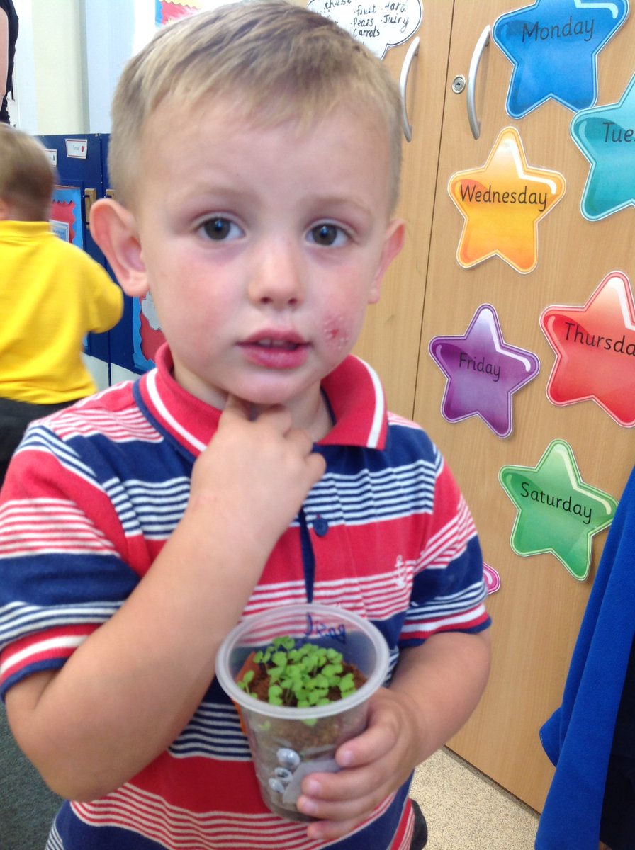 TH_Nursery1's tweet photo. We are very proud of our basil and broad bean plants, that are growing really well with our love, care and attention. #THLearnN π± https://t.co/OUn2TYYMDP