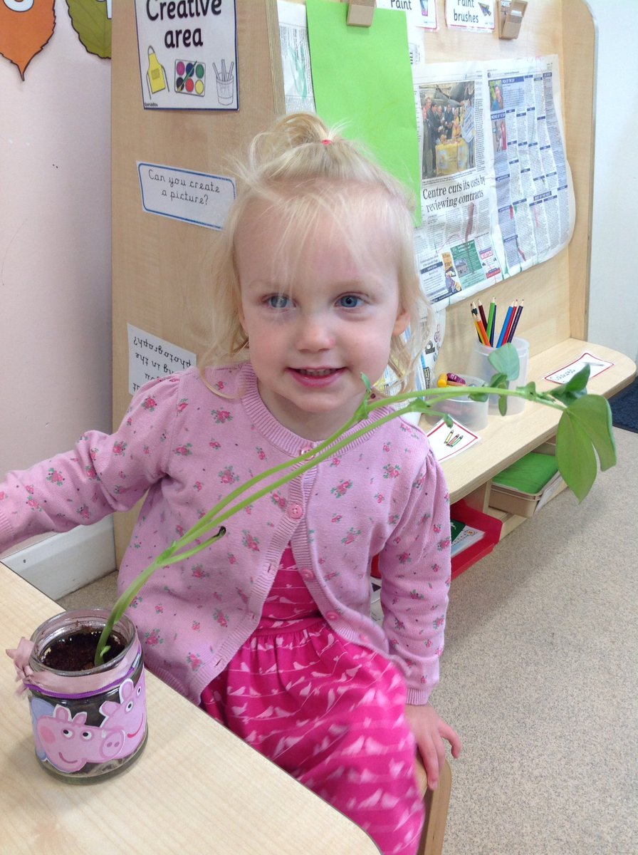 TH_Nursery1's tweet photo. We are very proud of our basil and broad bean plants, that are growing really well with our love, care and attention. #THLearnN π± https://t.co/OUn2TYYMDP