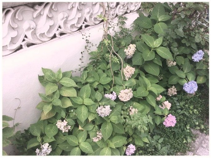 かんざしのtwitterイラスト検索結果 古い順