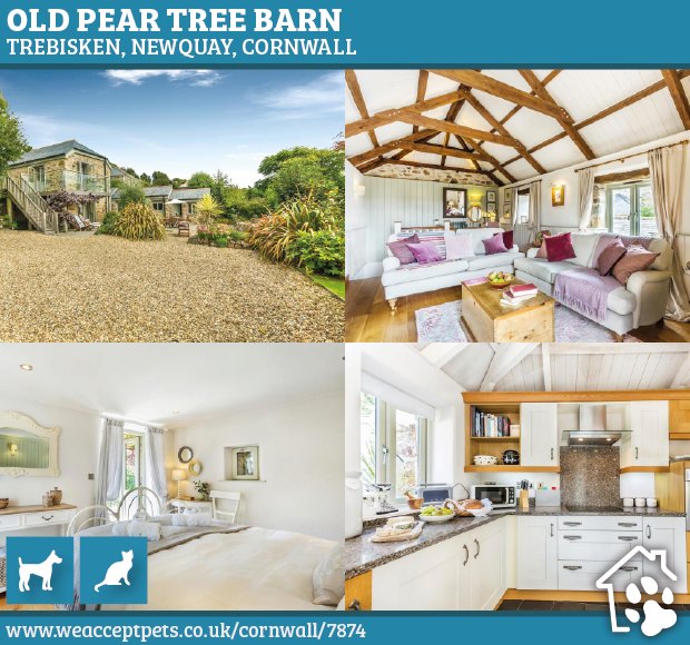 WeAcceptPets's tweet photo. Old Pear Tree Barn is a stunning #5star #holidaycottage nestled in the #Cornishcountryside. They have a large #privategarden which is perfect for your pets to round around in whilst you #relax.
Accepts πΆπ±
https://t.co/Db9eZFM3qx
#Cornwall #Trebisken #Newquay #HolywellBay https://t.co/LF0IQH6So7