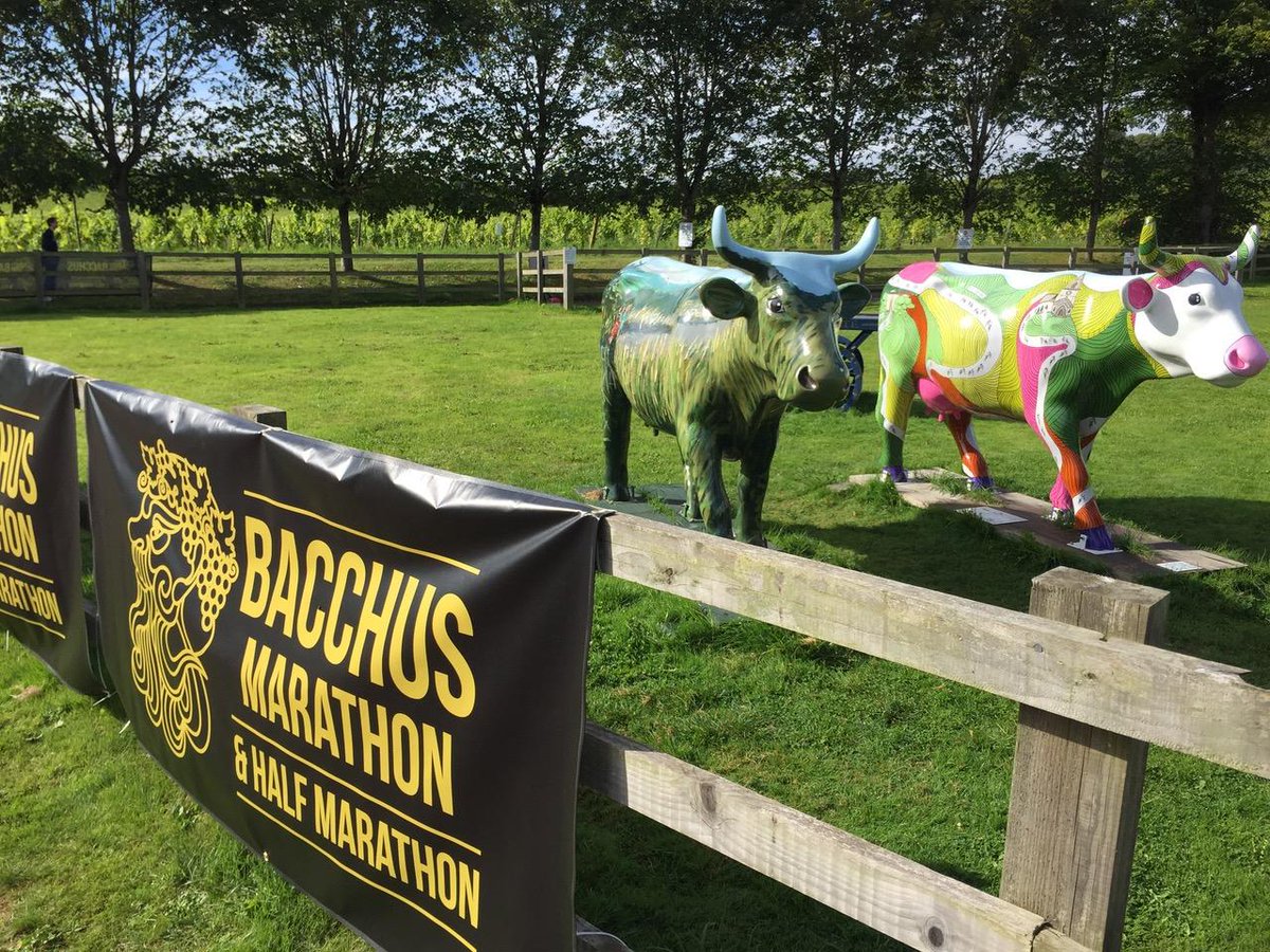 drinks_trust's tweet photo. Run Bacchus is BACK! Britain’s answer to the Marathon du Médoc takes place on 8 Sept and will aim to raise much-needed funds to support our work with the industry. Why not support us by joining the runners or making a donation 👉 https://t.co/fMCEDoGyGX #RunForBenevolent 💪 https://t.co/b10Cf1M1Gs