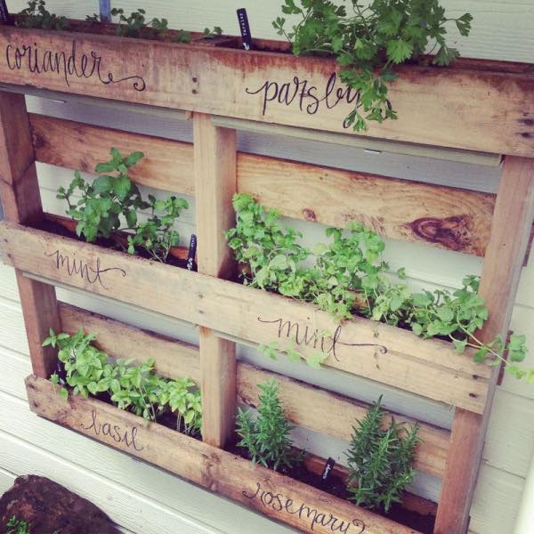 RAW_Reclaimed's tweet photo. Many #reclaimed euro pallets available here at RAW! Sturdy and versatile, these can be used for a number of different projects including #palletwoodsofa, #gardenstorage, #shedbase and much much more! Only £5 per pallet and we can deliver! #reclaimedwood

https://t.co/F9KsihoKrx https://t.co/Q41qHcQcOw