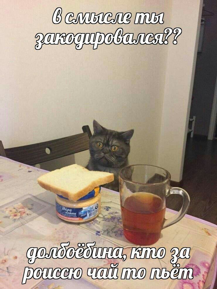 D-t3jX6WkAA9v4K?format=jpg&name=medium