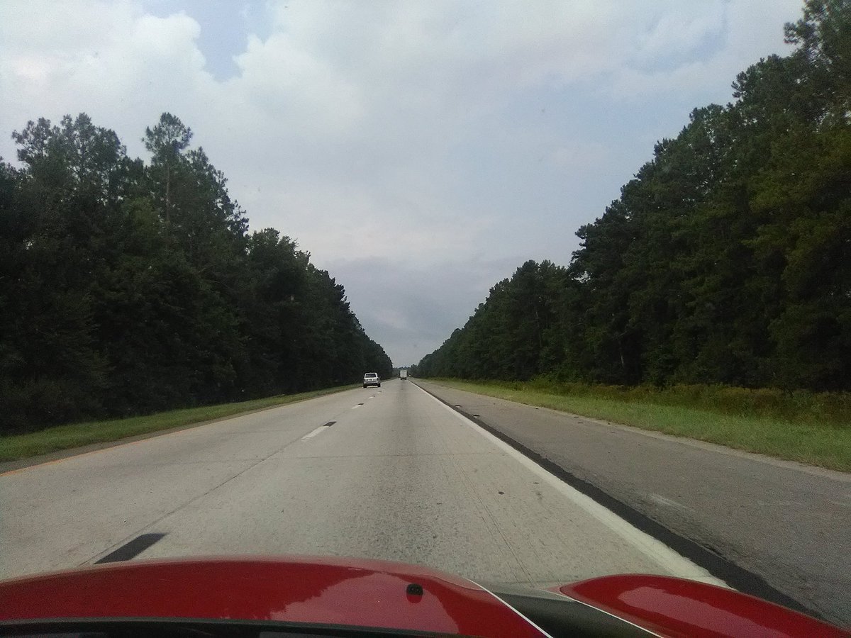 Carole Elwell tweet media