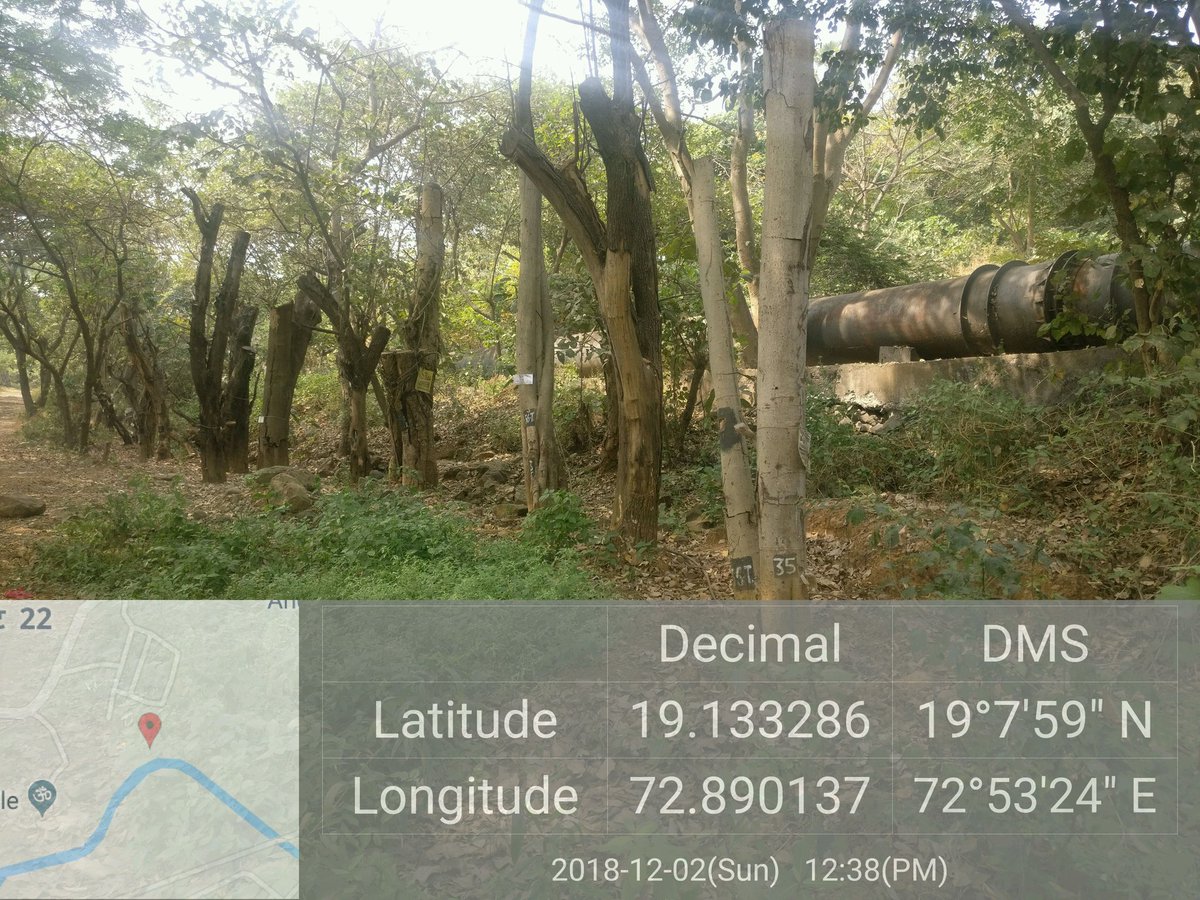 <a href="/MumbaiMetro3/">MumbaiMetro3</a> <a href="/CMOMaharashtra/">CMO Maharashtra</a> Can MMRCL please also explain why  these trees in the pictures are dead ? The GPS locations on the photographs are of Aarey. Trees transplanted in a forested  area with high ground water level have died because of MMRCL'S apathy #SaveAareySaveMumbai #SaveAareyForest #SaveAarey