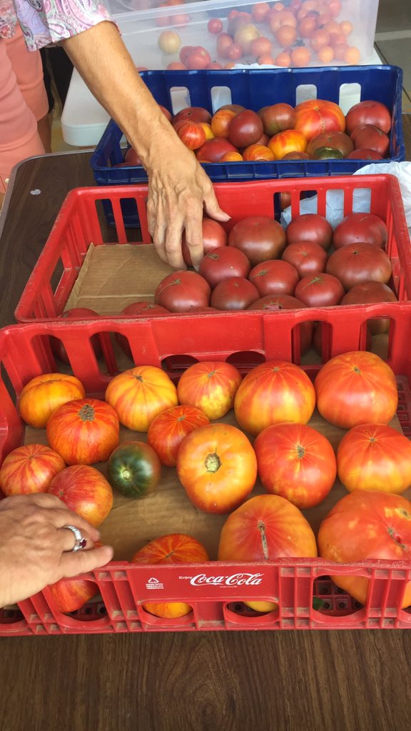 HallCountyFarm1's tweet image. TOMATOES TOMATOES AND TOMATOES.  Juicy, vine ripe, fresh and LOCAL. #buylocal #farmersmarket #onlylocal #localartisans #gainesvillega #localfarmers #healthyeating